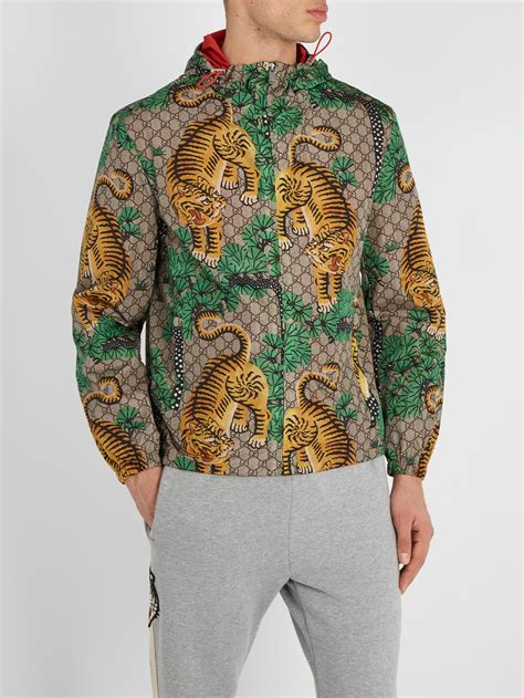 gucci bengal tiger print jacket fake|gucci tiger.